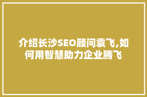 介绍长沙SEO顾问袁飞,如何用智慧助力企业腾飞