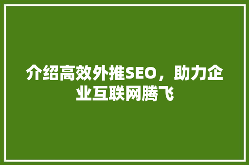 介绍高效外推SEO，助力企业互联网腾飞