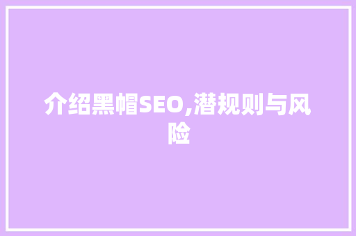介绍黑帽SEO,潜规则与风险