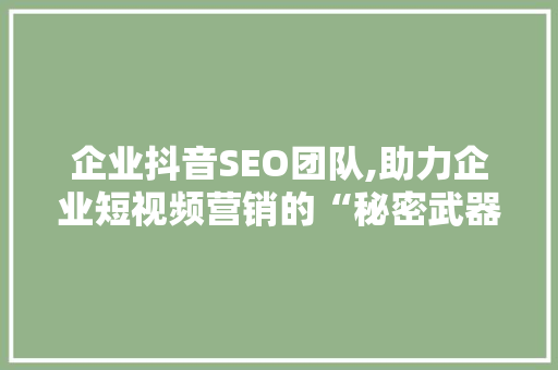 企业抖音SEO团队,助力企业短视频营销的“秘密武器”