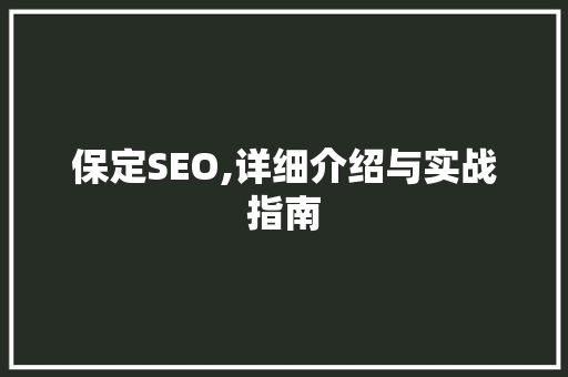 保定SEO,详细介绍与实战指南  第1张