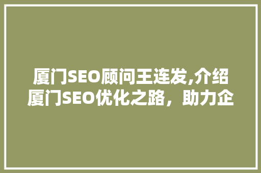 厦门SEO顾问王连发,介绍厦门SEO优化之路，助力企业腾飞