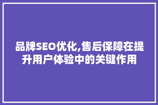 品牌SEO优化,售后保障在提升用户体验中的关键作用