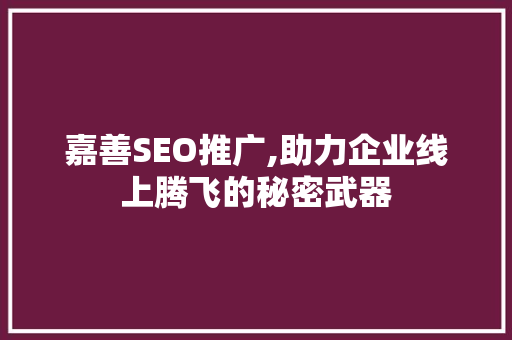 嘉善SEO推广,助力企业线上腾飞的秘密武器