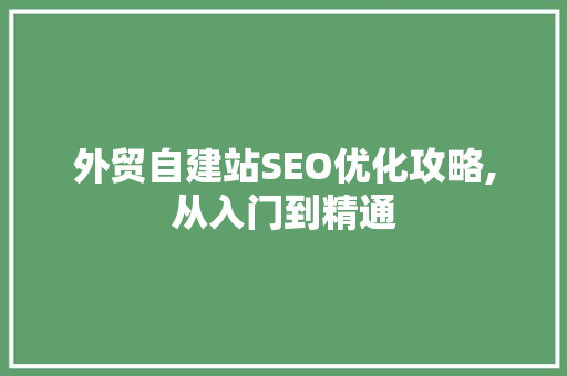 外贸自建站SEO优化攻略,从入门到精通