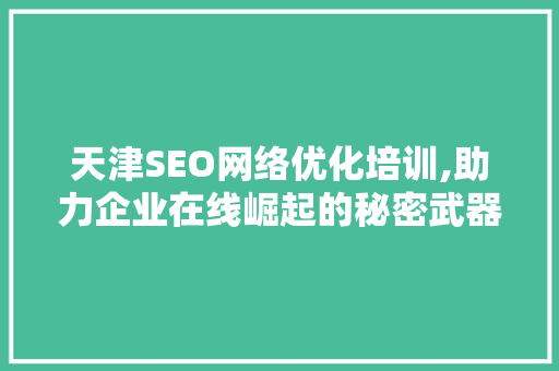 天津SEO网络优化培训,助力企业在线崛起的秘密武器