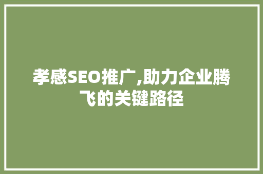 孝感SEO推广,助力企业腾飞的关键路径