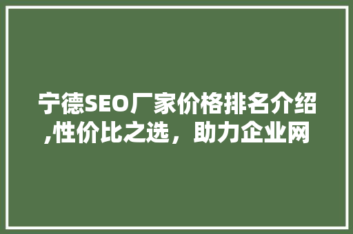 宁德SEO厂家价格排名介绍,性价比之选，助力企业网络营销腾飞