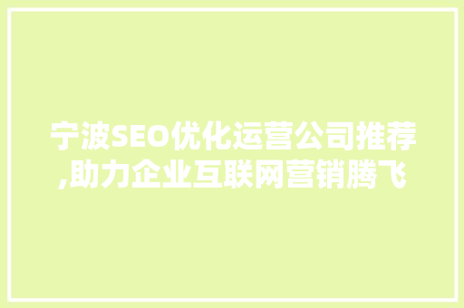 宁波SEO优化运营公司推荐,助力企业互联网营销腾飞