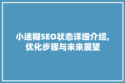 小迷糊SEO状态详细介绍,优化步骤与未来展望  第1张
