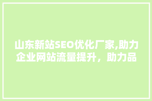 山东新站SEO优化厂家,助力企业网站流量提升，助力品牌腾飞