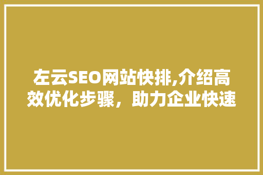 左云SEO网站快排,介绍高效优化步骤，助力企业快速崛起