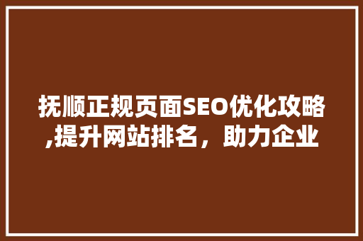 抚顺正规页面SEO优化攻略,提升网站排名，助力企业腾飞