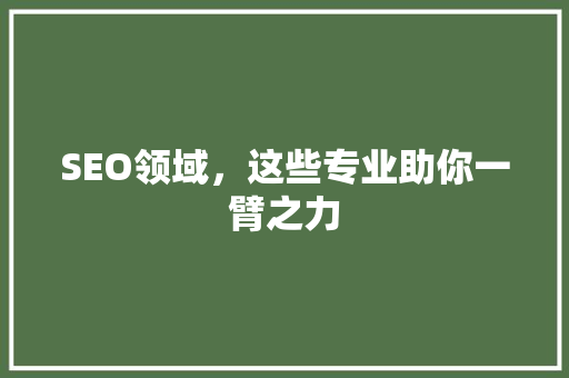 SEO领域，这些专业助你一臂之力