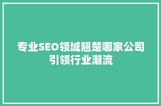 专业SEO领域翘楚哪家公司引领行业潮流