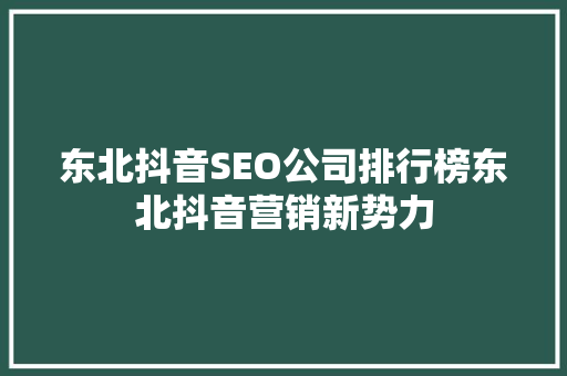 东北抖音SEO公司排行榜东北抖音营销新势力