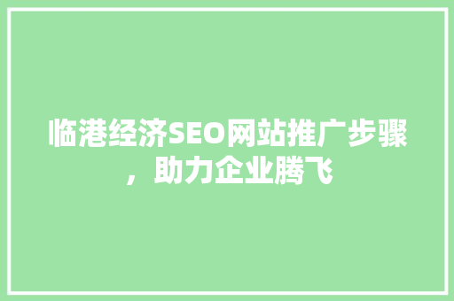 临港经济SEO网站推广步骤，助力企业腾飞