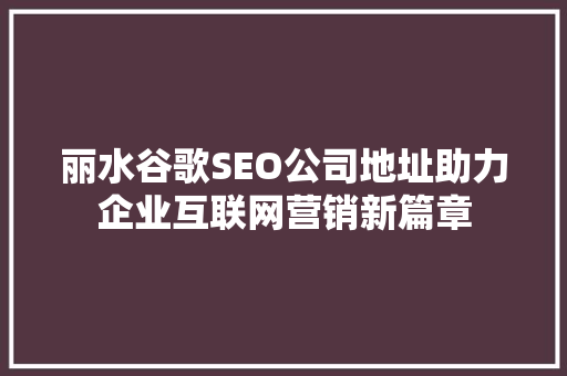 丽水谷歌SEO公司地址助力企业互联网营销新篇章