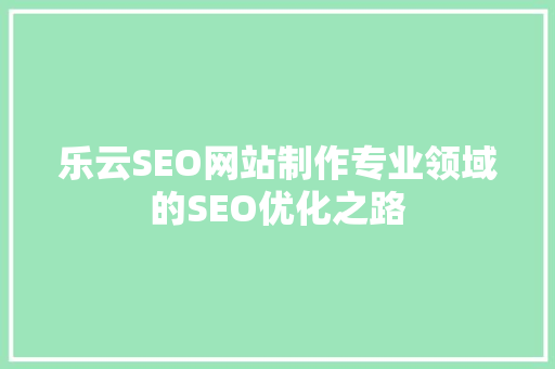 乐云SEO网站制作专业领域的SEO优化之路