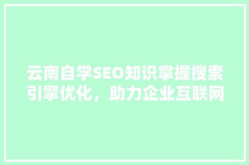 云南自学SEO知识掌握搜索引擎优化，助力企业互联网发展