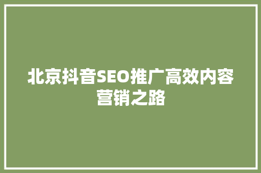 北京抖音SEO推广高效内容营销之路