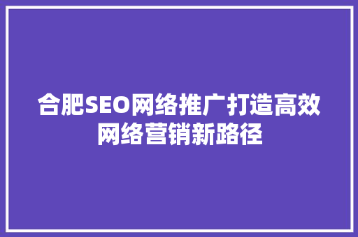 合肥SEO网络推广打造高效网络营销新路径