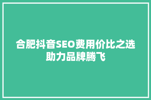 合肥抖音SEO费用价比之选助力品牌腾飞