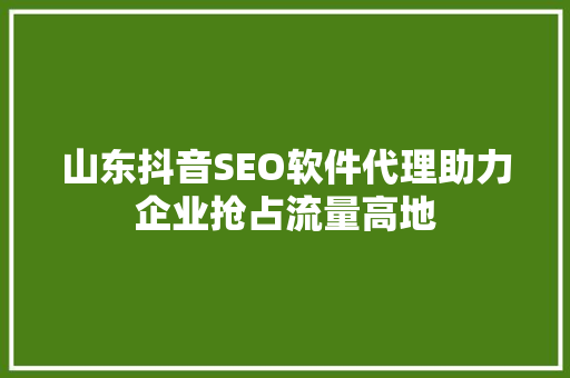 山东抖音SEO软件代理助力企业抢占流量高地