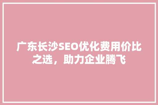 广东长沙SEO优化费用价比之选，助力企业腾飞