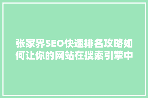 张家界SEO快速排名攻略如何让你的网站在搜索引擎中脱颖而出  第1张