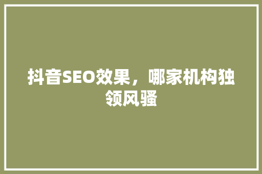 抖音SEO效果，哪家机构独领风骚