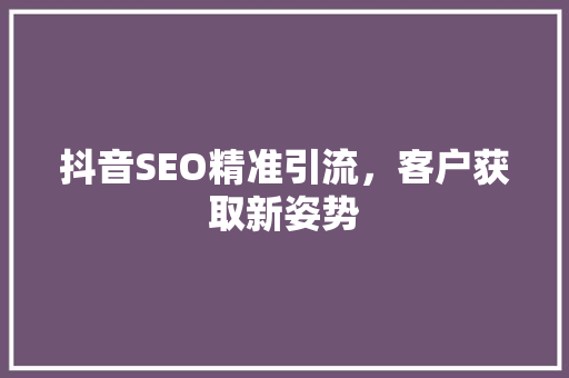 抖音SEO精准引流，客户获取新姿势
