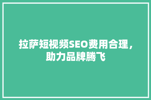 拉萨短视频SEO费用合理，助力品牌腾飞  第1张