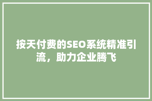 按天付费的SEO系统精准引流，助力企业腾飞