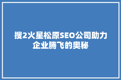 搜2火星松原SEO公司助力企业腾飞的奥秘