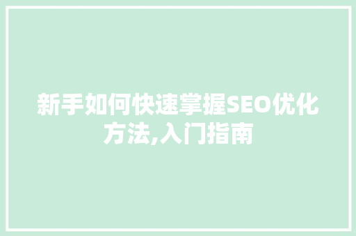新手如何快速掌握SEO优化方法,入门指南