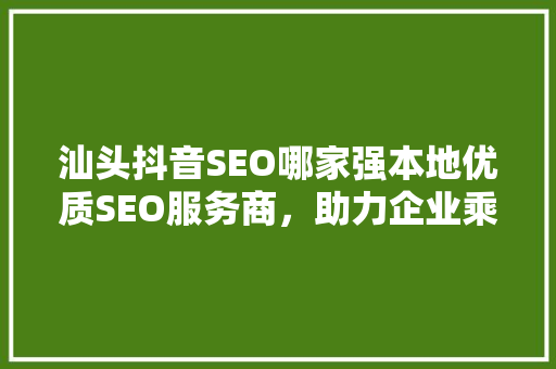 汕头抖音SEO哪家强本地优质SEO服务商，助力企业乘风破浪