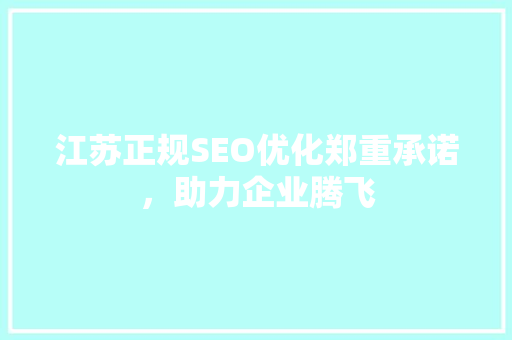 江苏正规SEO优化郑重承诺，助力企业腾飞
