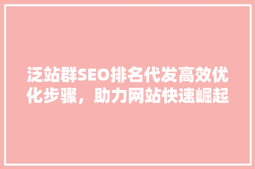 泛站群SEO排名代发高效优化步骤，助力网站快速崛起  第1张