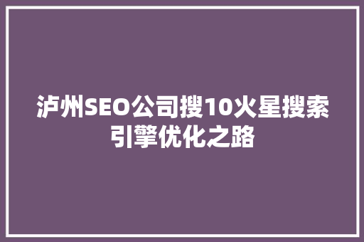 泸州SEO公司搜10火星搜索引擎优化之路