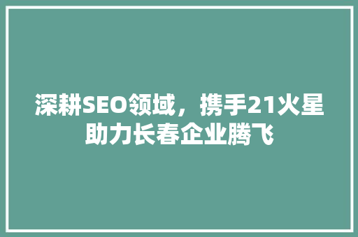 深耕SEO领域，携手21火星助力长春企业腾飞