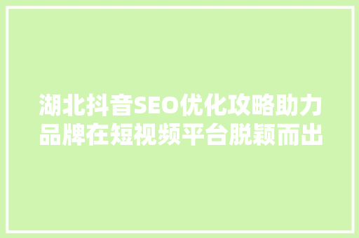 湖北抖音SEO优化攻略助力品牌在短视频平台脱颖而出