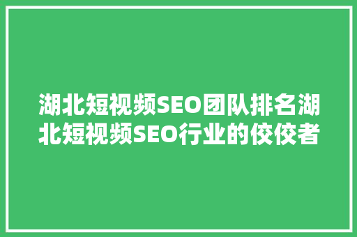 湖北短视频SEO团队排名湖北短视频SEO行业的佼佼者