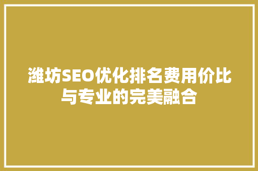 潍坊SEO优化排名费用价比与专业的完美融合