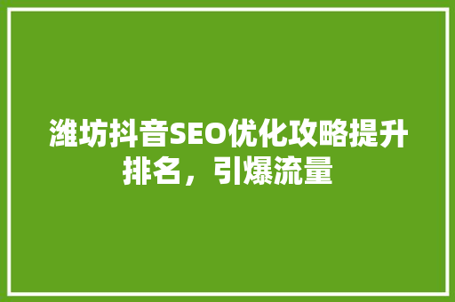潍坊抖音SEO优化攻略提升排名，引爆流量