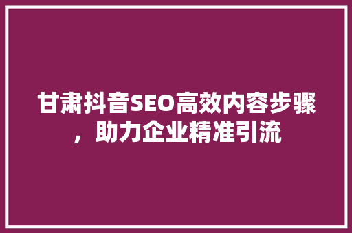 甘肃抖音SEO高效内容步骤，助力企业精准引流  第1张