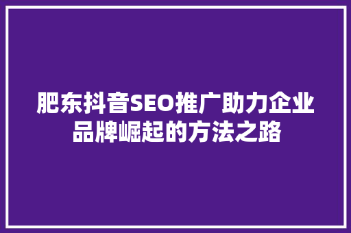 肥东抖音SEO推广助力企业品牌崛起的方法之路  第1张