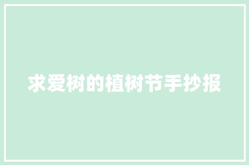 光辉大神代码编程领域的传奇之作