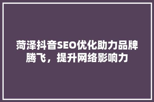 菏泽抖音SEO优化助力品牌腾飞，提升网络影响力