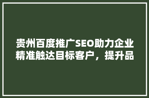贵州百度推广SEO助力企业精准触达目标客户，提升品牌影响力